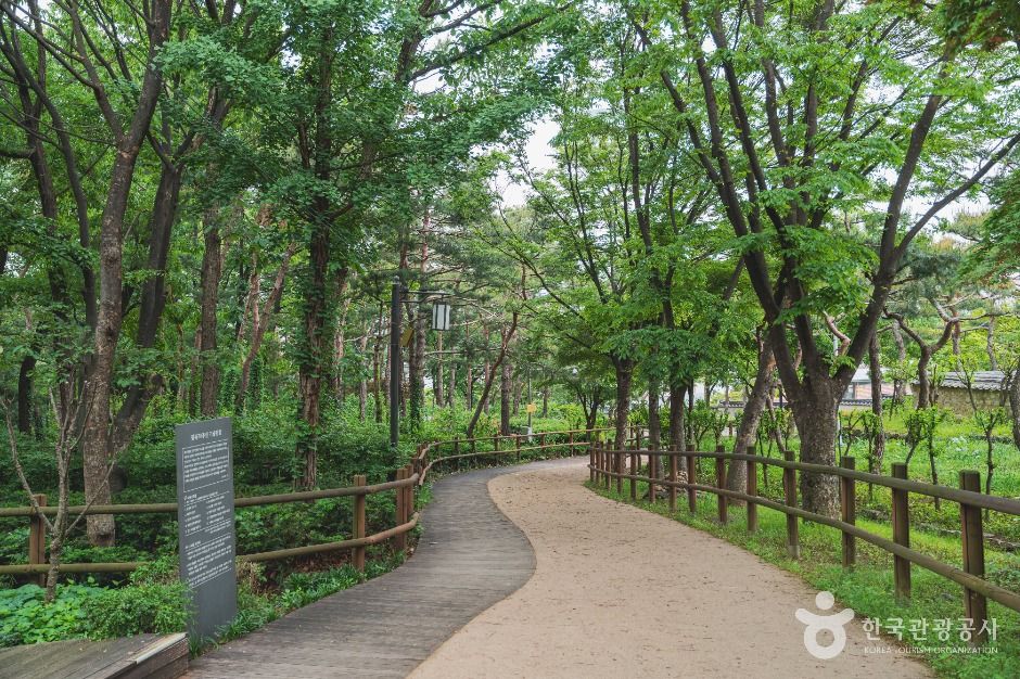 서울 효창공원 여행 추천 - 메고지고