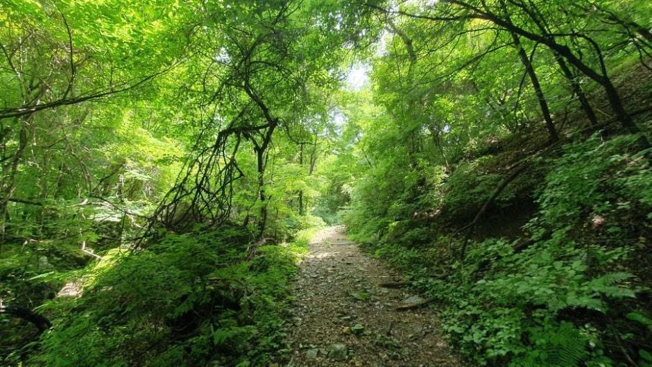 석룡산 여행 추천 - 메고지고 석룡산 여행 추천 - 메고지고