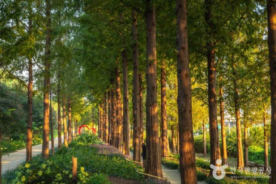 월드컵공원 여행 추천 - 메고지고 월드컵공원 여행 추천 - 메고지고