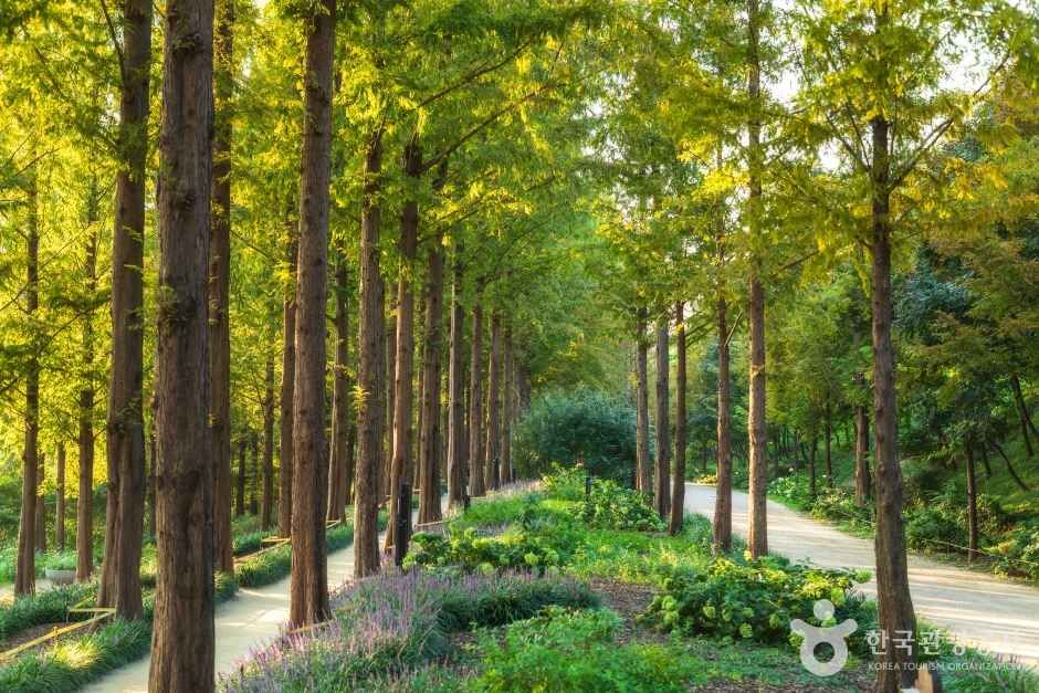 월드컵공원 여행 추천 - 메고지고 월드컵공원 여행 추천 - 메고지고