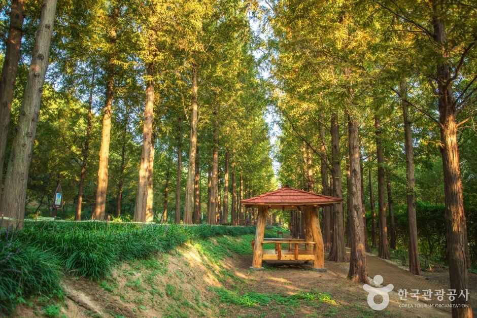 월드컵공원 여행 추천 - 메고지고 월드컵공원 여행 추천 - 메고지고