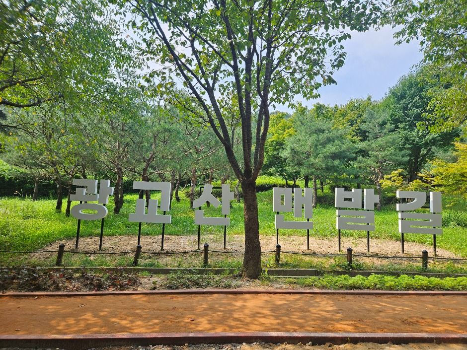 광교산 여행 추천 - 메고지고 광교산 여행 추천 - 메고지고