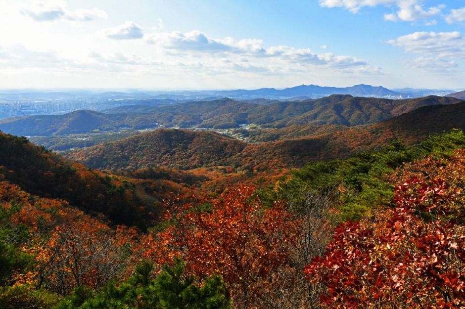 광교산 여행 추천 - 메고지고 광교산 여행 추천 - 메고지고
