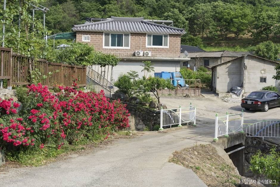 평리산대추마을 여행 추천 - 메고지고 평리산대추마을 여행 추천 - 메고지고
