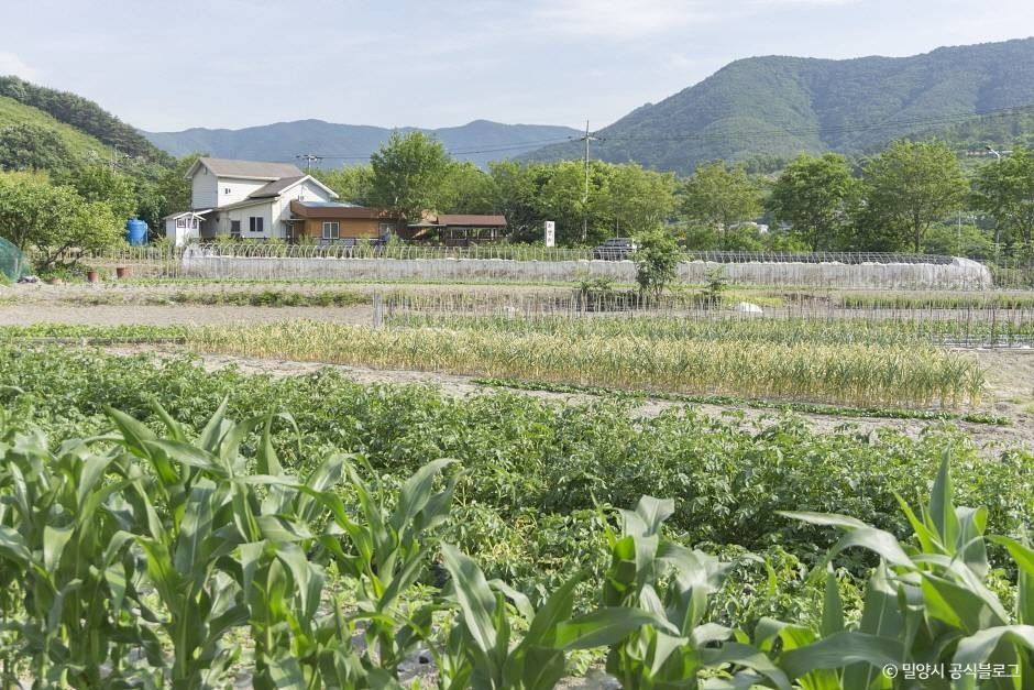 평리산대추마을 여행 추천 - 메고지고 평리산대추마을 여행 추천 - 메고지고