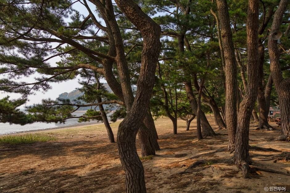 진촌해변 여행 추천 - 메고지고 진촌해변 여행 추천 - 메고지고