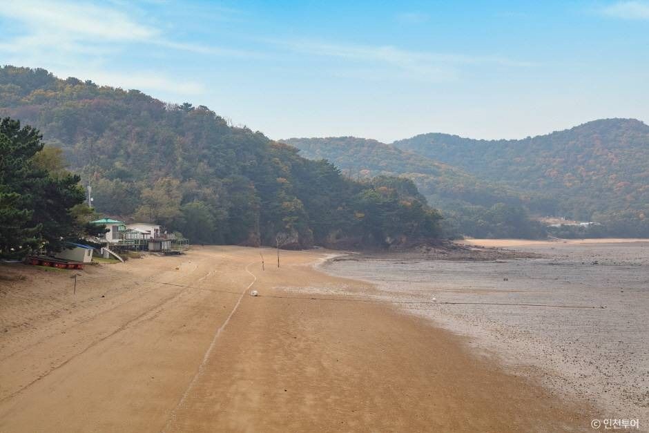 진촌해변 여행 추천 - 메고지고 진촌해변 여행 추천 - 메고지고