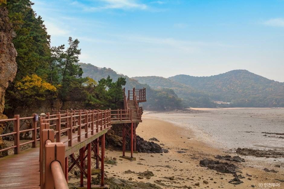 진촌해변 여행 추천 - 메고지고 진촌해변 여행 추천 - 메고지고