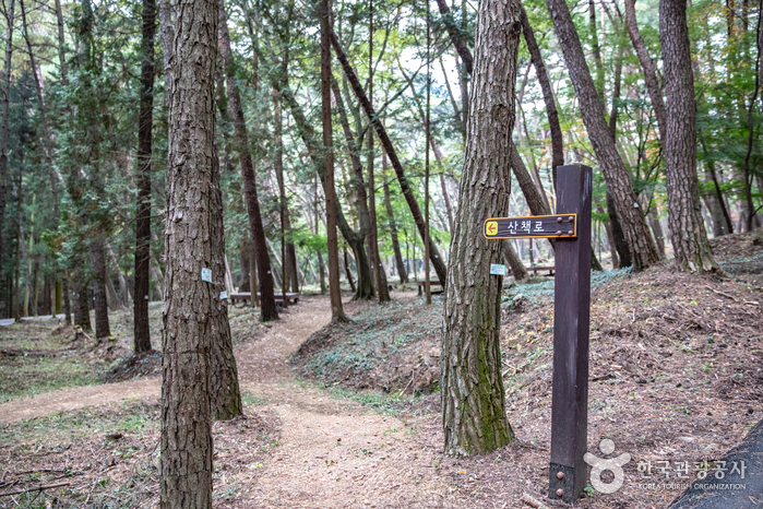 봉명산시립공원 여행 추천 - 메고지고 봉명산시립공원 여행 추천 - 메고지고