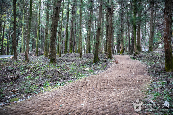봉명산시립공원 여행 추천 - 메고지고 봉명산시립공원 여행 추천 - 메고지고