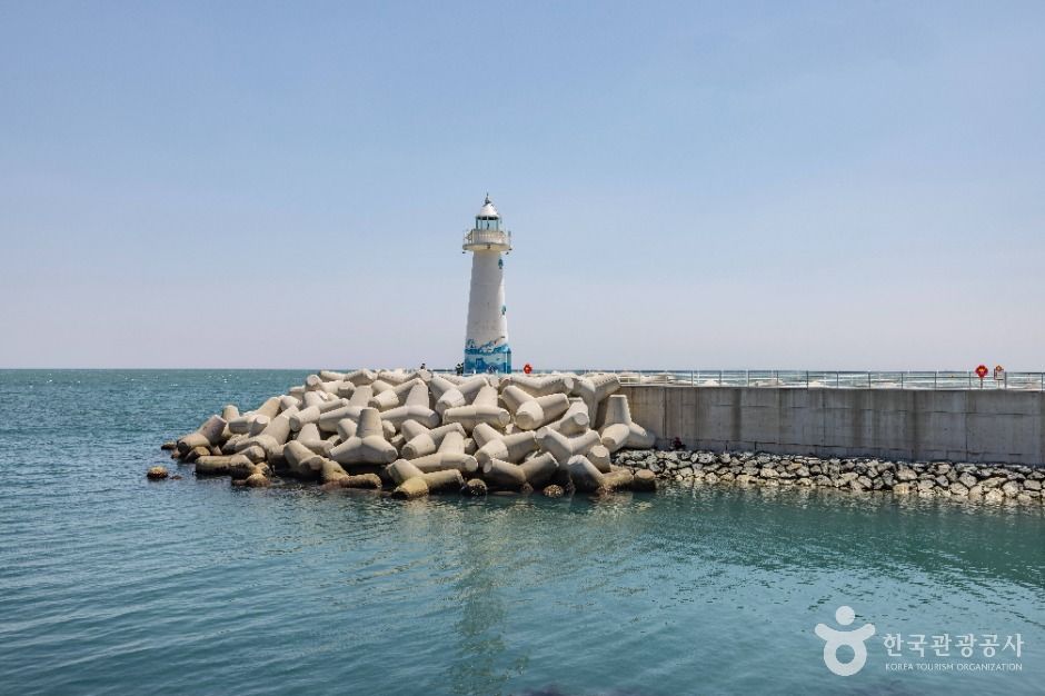 청사포 여행 추천 - 메고지고 청사포 여행 추천 - 메고지고