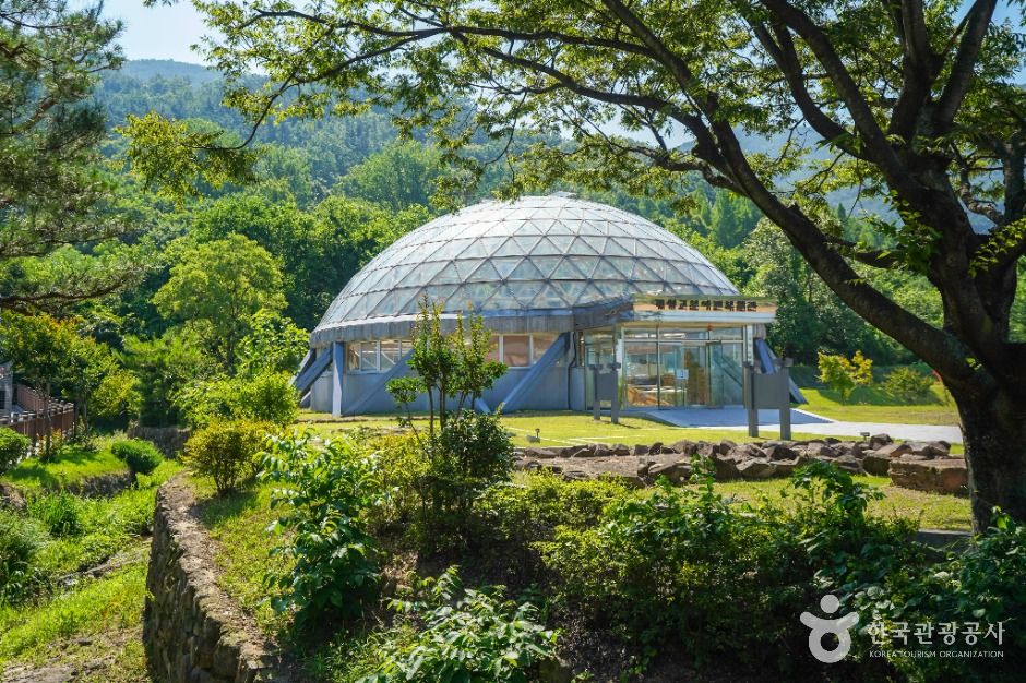 창녕박물관 여행 추천 - 메고지고