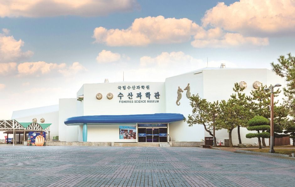 국립수산과학관 여행 추천 - 메고지고 국립수산과학관 여행 추천 - 메고지고
