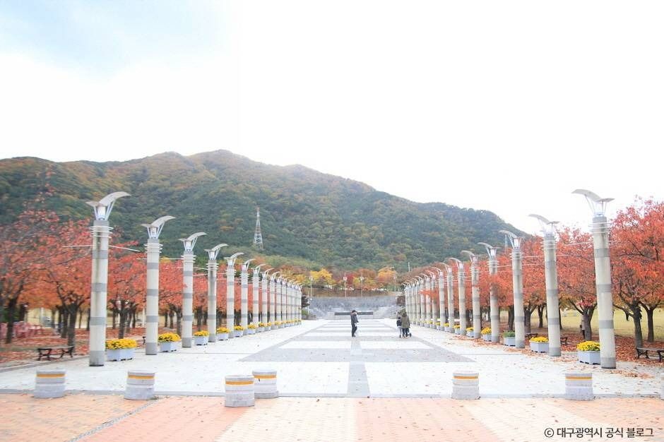 대구스타디움 여행 추천 - 메고지고 대구스타디움 여행 추천 - 메고지고