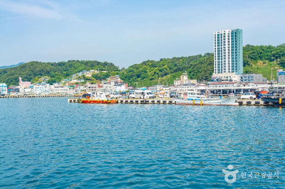 울진 후포항 여행 추천 - 메고지고 울진 후포항 여행 추천 - 메고지고