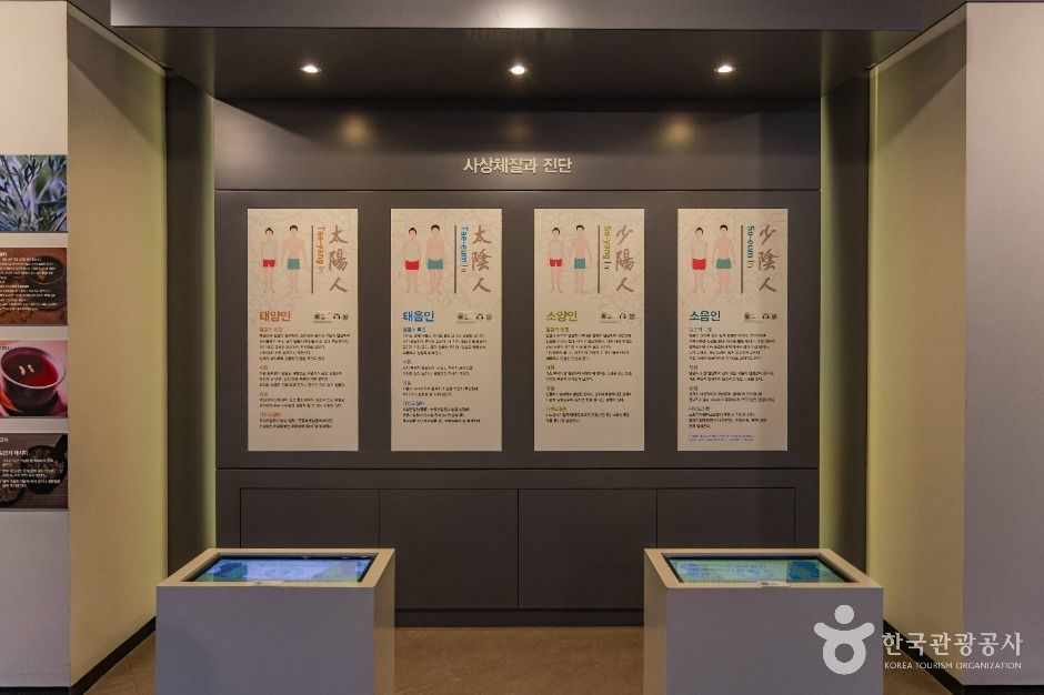 서울약령시한의약박물관 여행 추천 - 메고지고