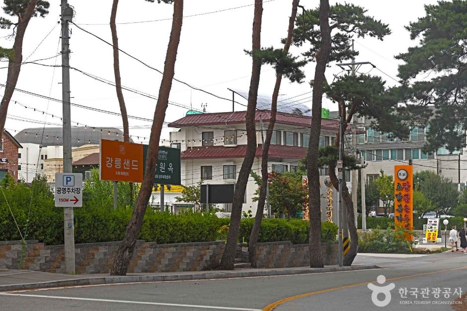 초당순두부마을 여행 추천 - 메고지고 초당순두부마을 여행 추천 - 메고지고