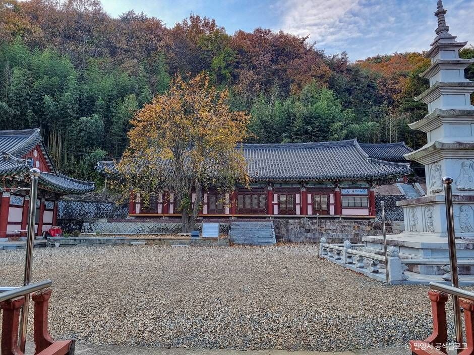 대법사(밀양) 여행 추천 - 메고지고 대법사(밀양) 여행 추천 - 메고지고