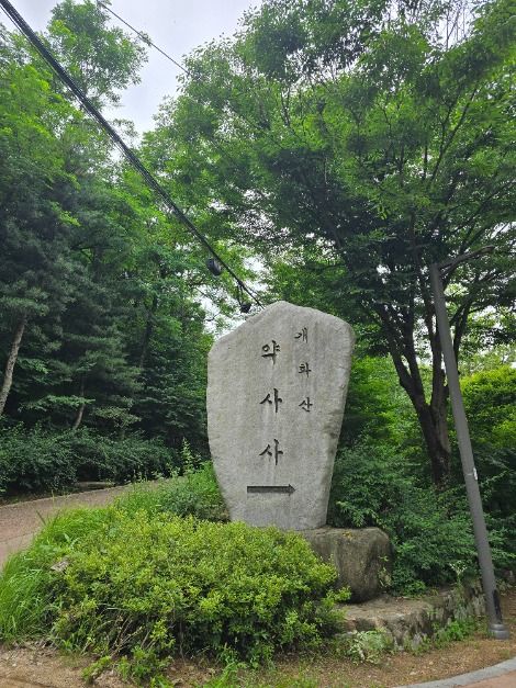 약사사(서울) 여행 추천 - 메고지고 약사사(서울) 여행 추천 - 메고지고