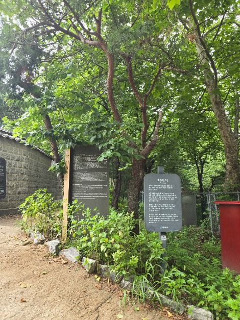 약사사(서울) 여행 추천 - 메고지고 약사사(서울) 여행 추천 - 메고지고