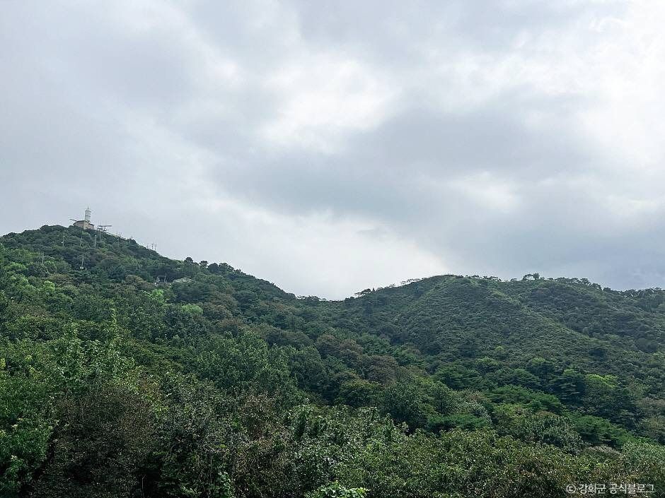 고려산 여행 추천 - 메고지고 고려산 여행 추천 - 메고지고