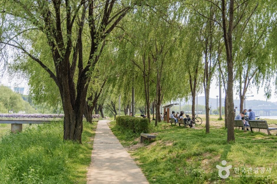 반포 서래섬 여행 추천 - 메고지고 반포 서래섬 여행 추천 - 메고지고