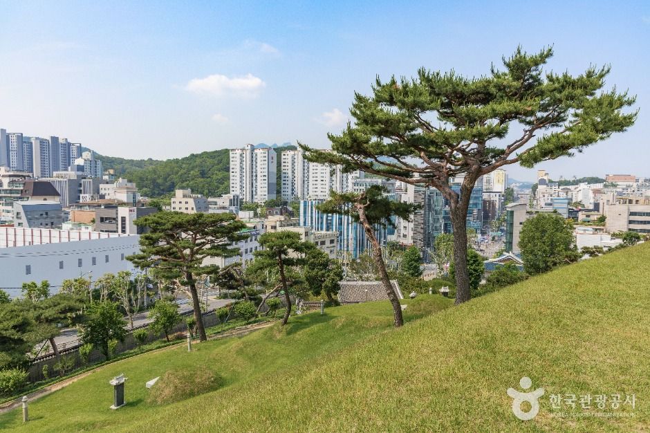 효령대군 이보 묘역 여행 추천 - 메고지고 효령대군 이보 묘역 여행 추천 - 메고지고