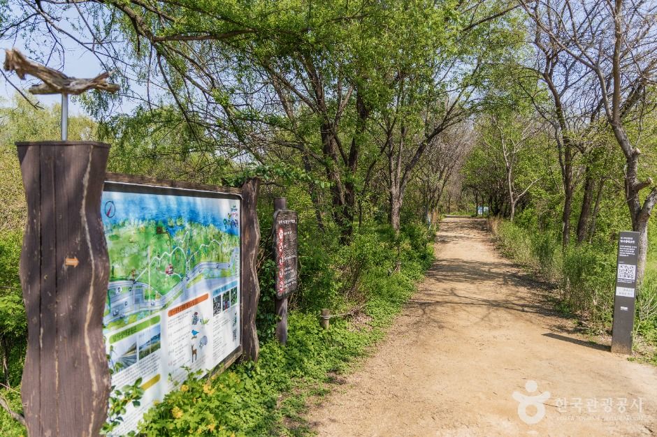 광나루한강공원 암사생태공원 여행 추천 - 메고지고 광나루한강공원 암사생태공원 여행 추천 - 메고지고