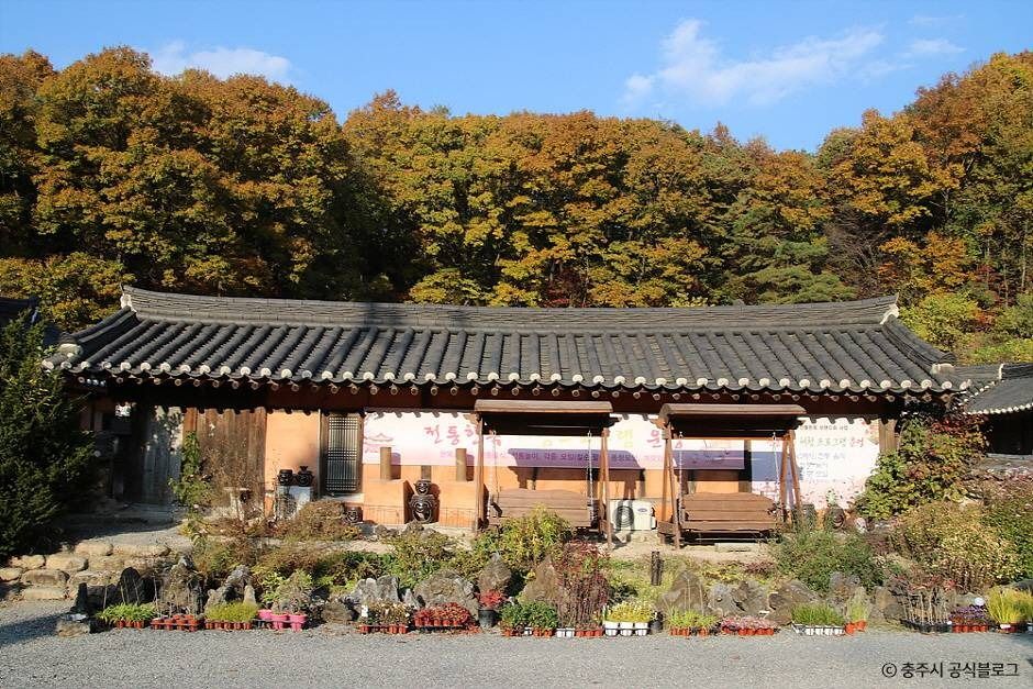 충주 최응성 고가 여행 추천 - 메고지고