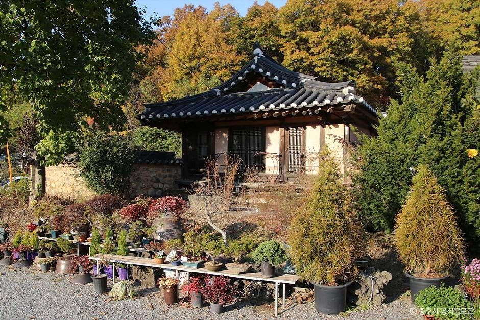 충주 최응성 고가 여행 추천 - 메고지고