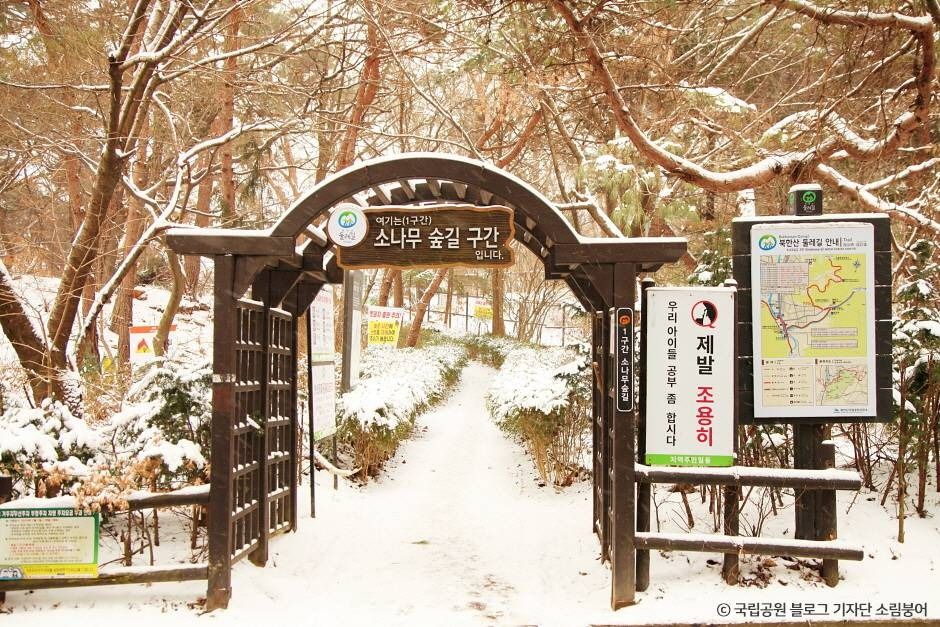 [북한산 둘레길 1구간] 소나무숲길 여행 추천 - 메고지고