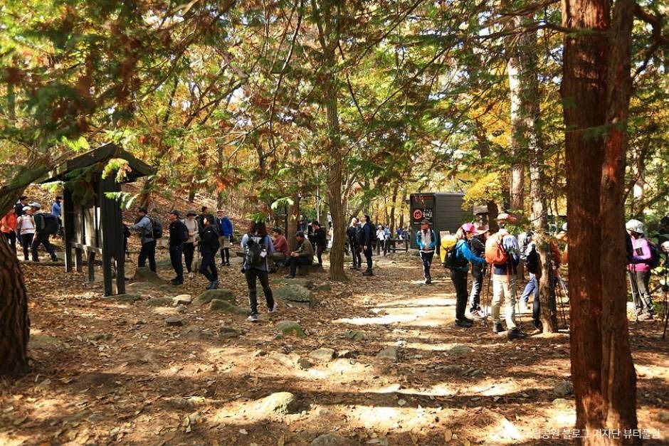 [북한산 둘레길 11구간] 효자길 여행 추천 - 메고지고