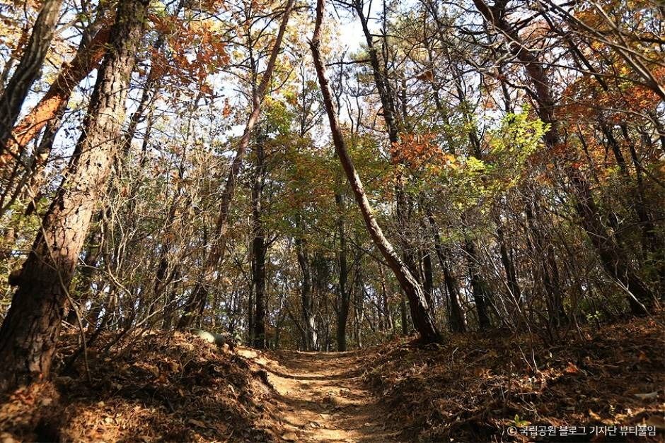 [북한산 둘레길 11구간] 효자길 여행 추천 - 메고지고