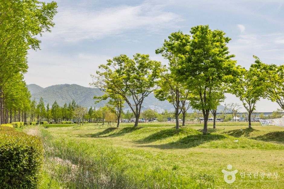 삼락생태공원 여행 추천 - 메고지고 삼락생태공원 여행 추천 - 메고지고
