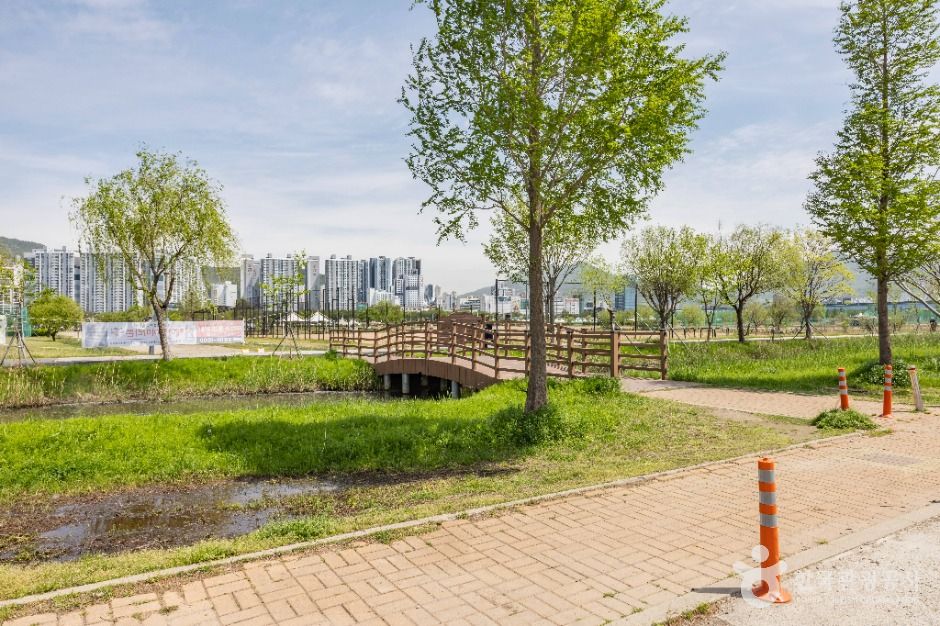 삼락생태공원 여행 추천 - 메고지고 삼락생태공원 여행 추천 - 메고지고