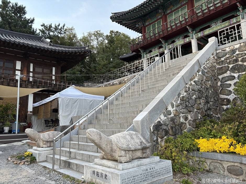 구암서원 여행 추천 - 메고지고 구암서원 여행 추천 - 메고지고