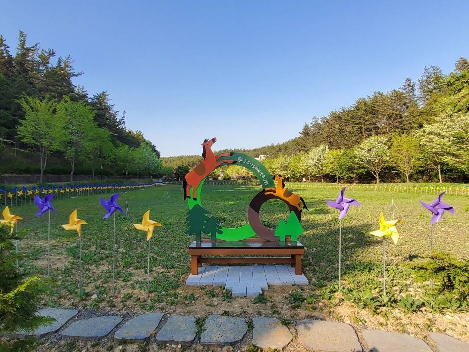 운주산승마자연휴양림 여행 추천 - 메고지고 운주산승마자연휴양림 여행 추천 - 메고지고