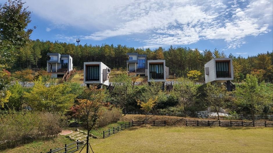 운주산승마자연휴양림 여행 추천 - 메고지고 운주산승마자연휴양림 여행 추천 - 메고지고