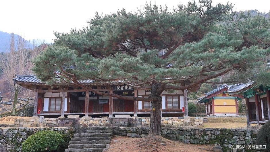 예림서원 여행 추천 - 메고지고 예림서원 여행 추천 - 메고지고