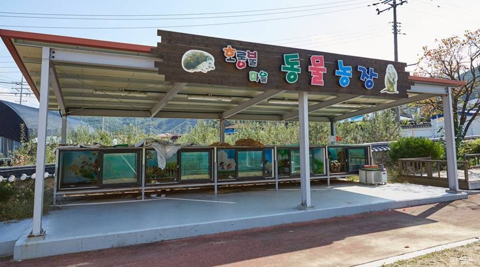 무주 호롱불마을 여행 추천 - 메고지고 무주 호롱불마을 여행 추천 - 메고지고