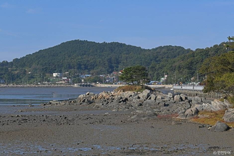 신시모도(신도ㆍ시도ㆍ모도) 여행 추천 - 메고지고 신시모도(신도ㆍ시도ㆍ모도) 여행 추천 - 메고지고