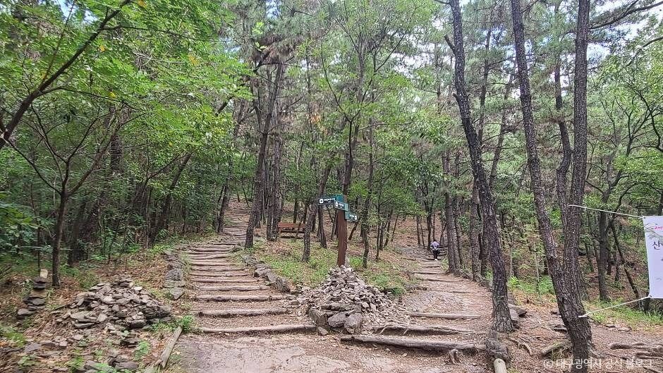 와룡산(대구) 여행 추천 - 메고지고 와룡산(대구) 여행 추천 - 메고지고