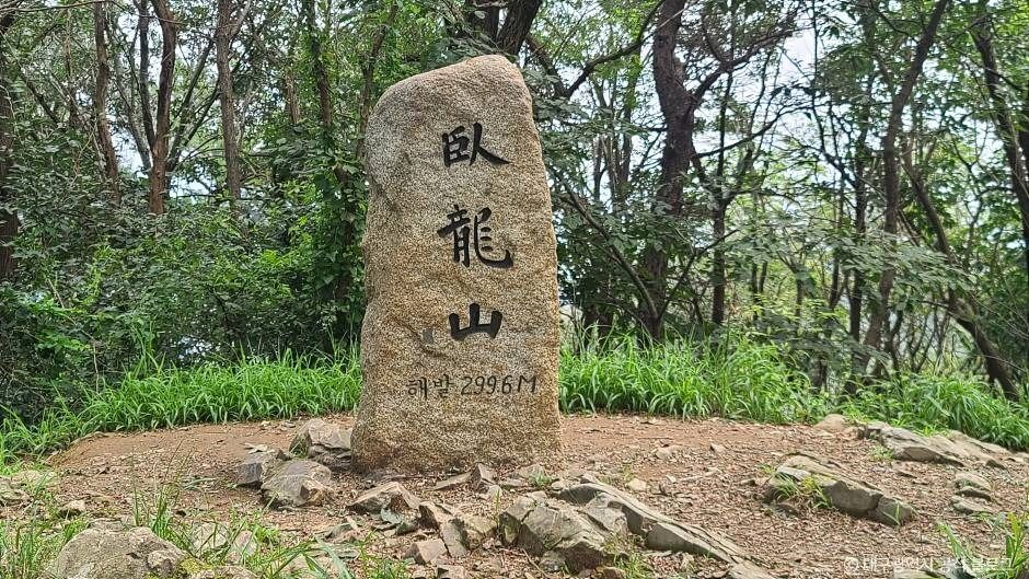 와룡산(대구) 여행 추천 - 메고지고 와룡산(대구) 여행 추천 - 메고지고