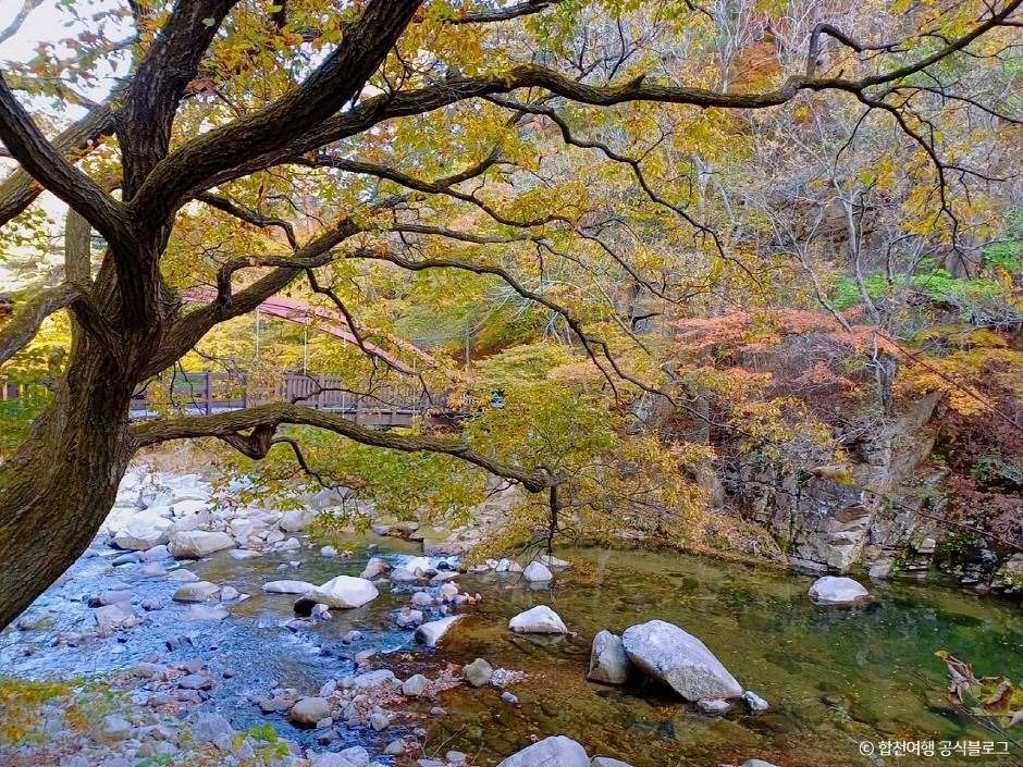 가야산 소리길 여행 추천 - 메고지고 가야산 소리길 여행 추천 - 메고지고
