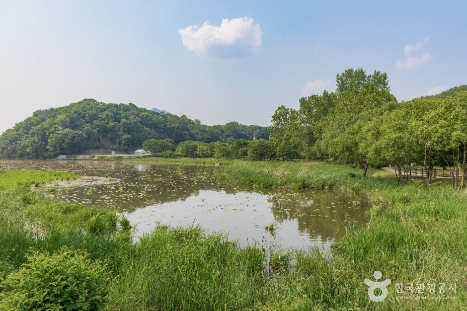 다산생태공원 여행 추천 - 메고지고 다산생태공원 여행 추천 - 메고지고