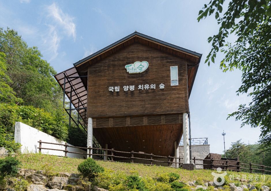 국립양평치유의숲 여행 추천 - 메고지고 국립양평치유의숲 여행 추천 - 메고지고