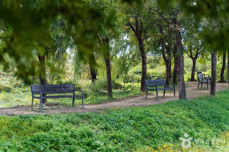 팔당물안개공원 여행 추천 - 메고지고 팔당물안개공원 여행 추천 - 메고지고