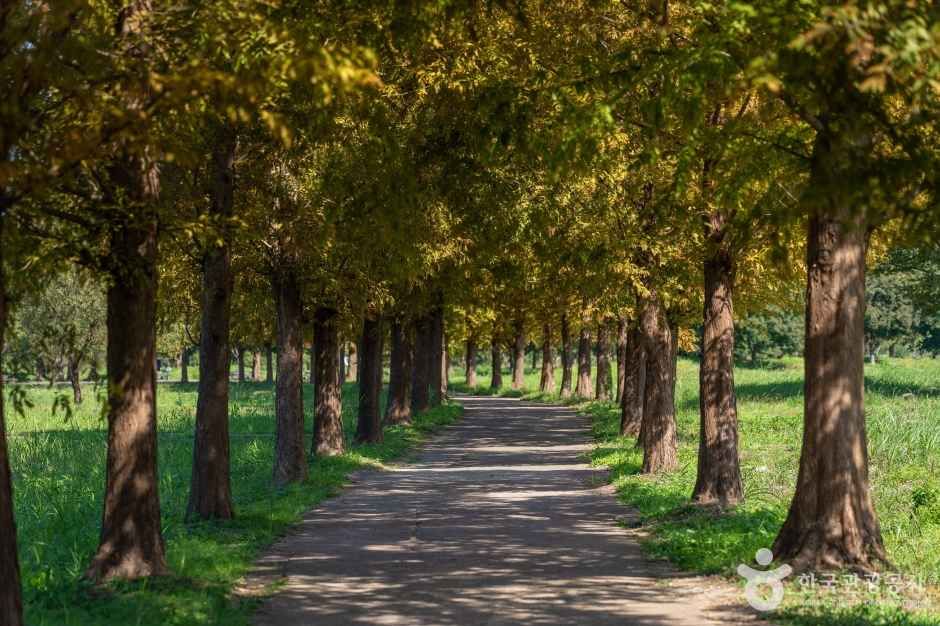 팔당물안개공원 여행 추천 - 메고지고 팔당물안개공원 여행 추천 - 메고지고