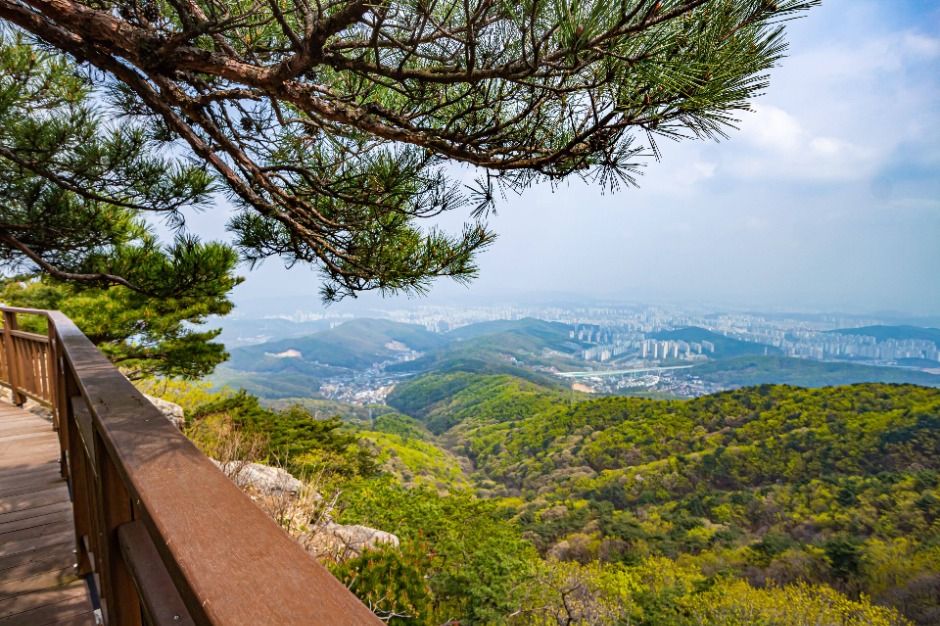 용인 8경 여행 추천 - 메고지고 용인 8경 여행 추천 - 메고지고