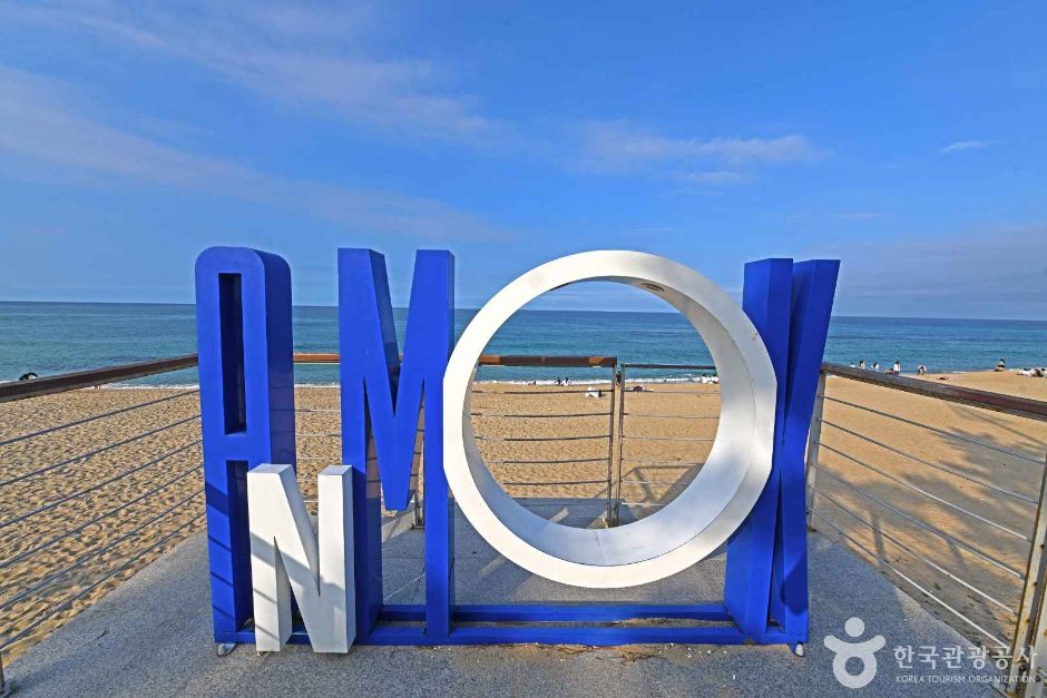 강릉 안목해맞이공원 여행 추천 - 메고지고